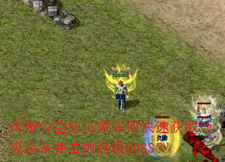 传奇公益服玩家如何快速获取顶级装备并击败终极BOSS? 传奇公益服玩家如何快速获取顶级装备并击败终极BOSS?
