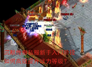 沉默传奇私服新手入门阶段如何高效提升战力等级? 沉默传奇私服新手入门阶段如何高效提升战力等级?