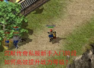 沉默传奇私服新手入门阶段如何高效提升战力等级? 沉默传奇私服新手入门阶段如何高效提升战力等级?
