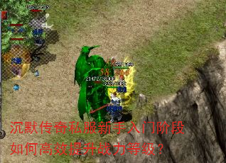 沉默传奇私服新手入门阶段如何高效提升战力等级? 沉默传奇私服新手入门阶段如何高效提升战力等级?