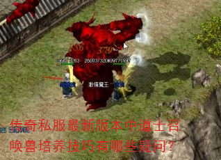 传奇私服最新版本中道士召唤兽培养技巧有哪些疑问? 传奇私服最新版本中道士召唤兽培养技巧有哪些疑问?