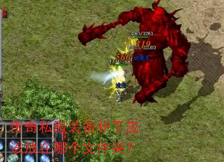 传奇私服装备补丁应该放在哪个文件夹? 传奇私服装备补丁应该放在哪个文件夹?