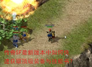 SF°汾οٻȡװ뼼飿