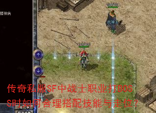 ˽SFսʿְҵBOSSʱκ似λ