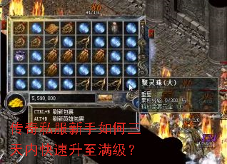 传奇私服新手如何三天内快速升至满级? 传奇私服新手如何三天内快速升至满级?