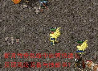 ¿˽οٻȡ߼װ뼼飿