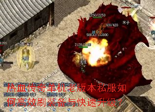 Ѫ浥ϰ汾˽θЧˢװ