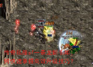 传奇私服sf一条龙新手如何快速掌握高效升级技巧? 传奇私服sf一条龙新手如何快速掌握高效升级技巧?