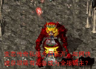 ̬˽¿οٻȡϡװΪȫ