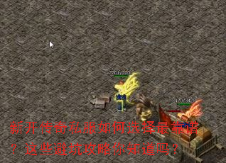 新开传奇私服如何选择最靠谱?这些避坑攻略你知道吗? 新开传奇私服如何选择最靠谱?这些避坑攻略你知道吗?