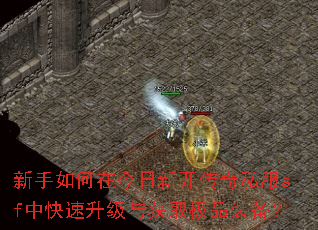 新手如何在今日新开传奇私服sf中快速升级与获取极品装备? 新手如何在今日新开传奇私服sf中快速升级与获取极品装备?