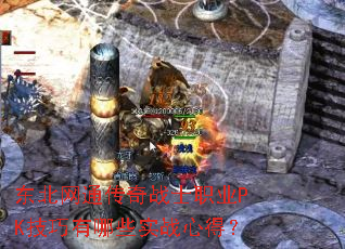 ͨսʿְҵPKЩʵսĵã