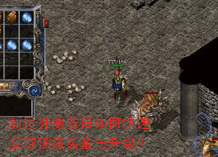 新区开服首日如何快速获取顶级装备与升级? 新区开服首日如何快速获取顶级装备与升级?
