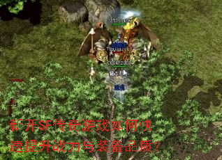 新开SF传奇游戏如何快速提升战力与装备品质? 新开SF传奇游戏如何快速提升战力与装备品质?
