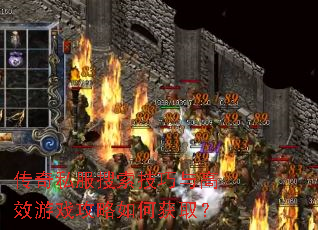 ����˽�������������Ч��Ϸ������λ�ȡ��