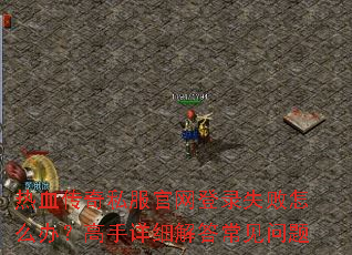 ��Ѫ����˽��������¼ʧ����ô�죿������ϸ��𳣼�����