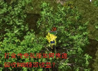 打金传奇私服如何快速回收RMB赚取收益? 打金传奇私服如何快速回收RMB赚取收益?
