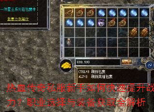 ��Ѫ����˽��������ο�������ս����ְҵѡ����װ����ȡȫ����