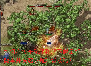 ����ڴ���˽��˽���������°汾�����������������ɣ�