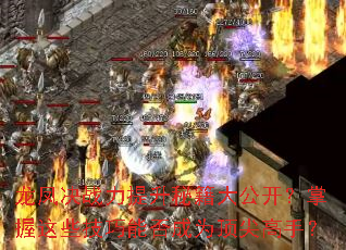 �����ս�������ؼ��󹫿���������Щ�����ܷ��Ϊ������֣�