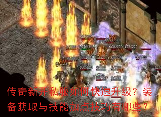 �����¿�˽����ο���������װ����ȡ�뼼�ܼӵ㼼������Щ��