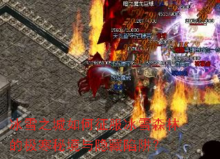 ��ѩ֮�����������ѩɭ�ֵļ����ؾ����������壿