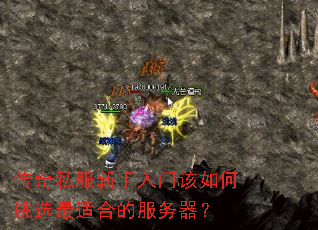 ����˽���������Ÿ������ѡ���ʺϵķ�������