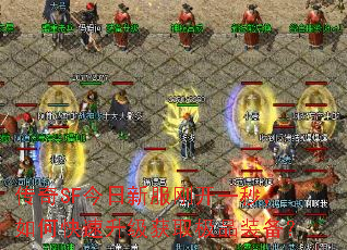 ����SF�����·��տ�һ�룬��ο���������ȡ��Ʒװ����