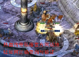 ��Ѫ����˽���ٷ���վ��ַ�����ȷ��ѯ����֤