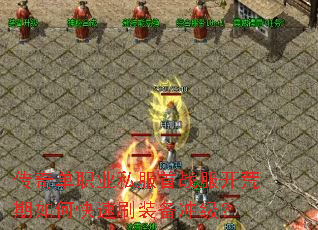 ���浥ְҵ˽����ս����������ο���ˢװ���弶��