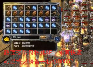 ����̬����˽��SF����ο���ˢ���ռ�װ������ɱBOSS��