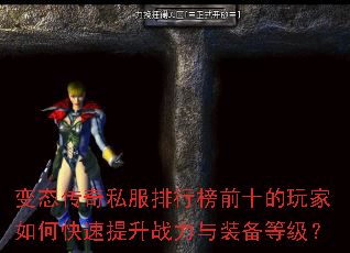 ��̬����˽�����а�ǰʮ�������ο�������ս����װ���ȼ���