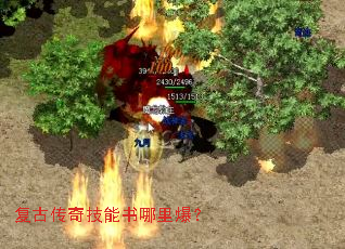 复古传奇技能书哪里爆? 复古传奇技能书哪里爆?