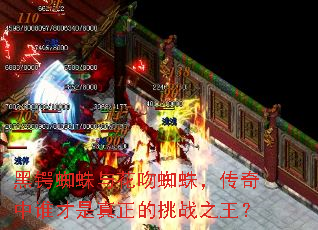 ����֩���뻨��֩�룬������˭������������ս֮����