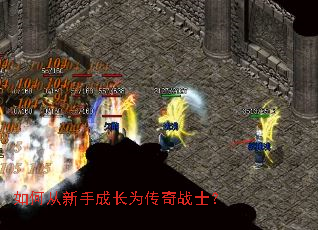 如何从新手成长为传奇战士? 如何从新手成长为传奇战士?