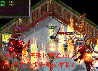 ��θ�Ч��������M2server�ļ���������Ϸ���飿