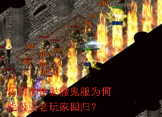 ���ɴ������ù���Ϊ������������һع飿