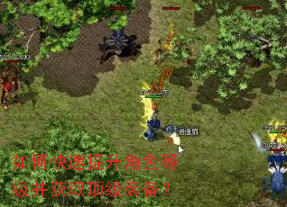 ��ο���������ɫ�ȼ�����ȡ����װ����