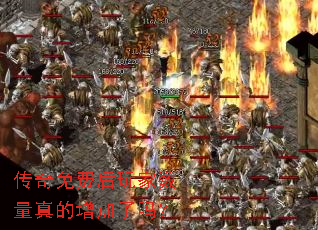 ������Ѻ�������������������