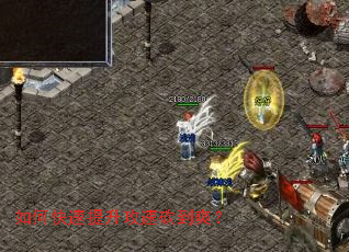 ��ο����������ٿ���ˬ��