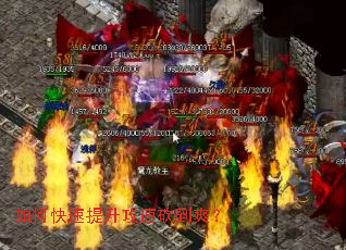 ��ο����������ٿ���ˬ��