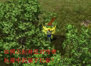 如何识别并应对传奇私服中的骗子玩家? 如何识别并应对传奇私服中的骗子玩家?