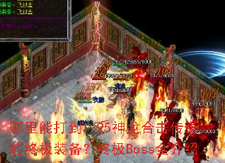 哪里能打到1.95神龙合击传奇的终极装备?终极Boss全介绍 哪里能打到1.95神龙合击传奇的终极装备?终极Boss全介绍